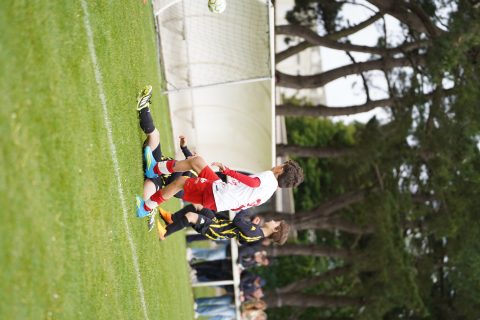 CKU9 2026 Photos 1/8