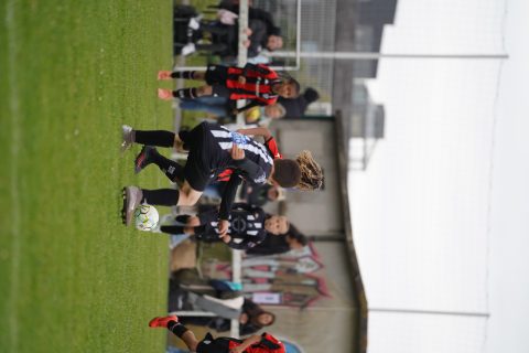 CKU9 2026 Photos 2/8