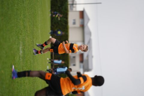 CKU9 2026 Photos 2/8