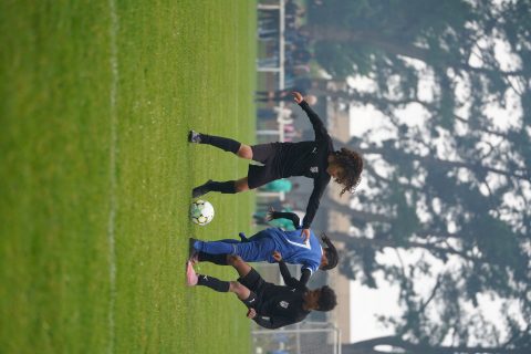 CKU9 2026 Photos 2/8
