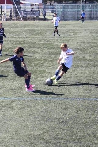 CJF CUP 2026