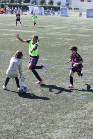 CJF CUP 2026