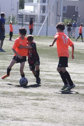 CJF CUP 2026