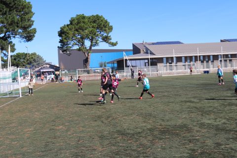 CJF CUP 2026