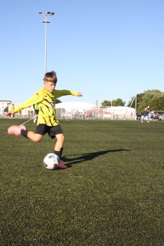 CJF CUP 2026