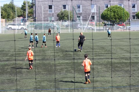 CJF CUP 2026