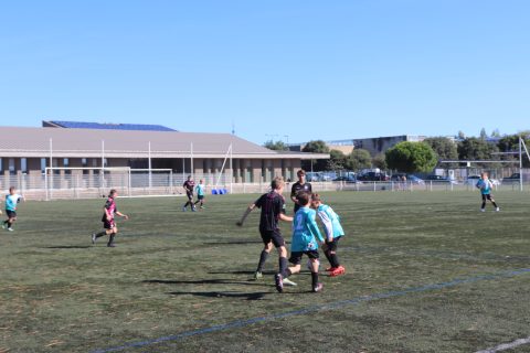 CJF CUP 2026