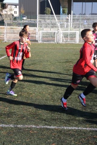 CJF CUP 2026