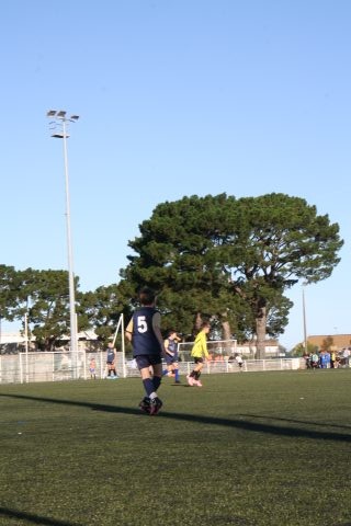 CJF CUP 2026