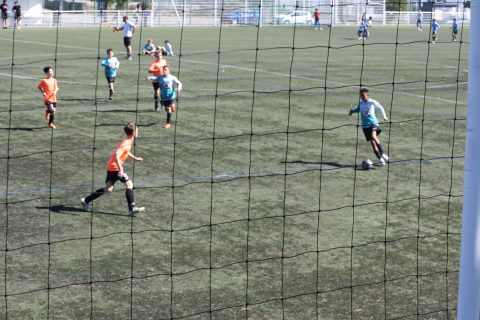 CJF CUP 2026