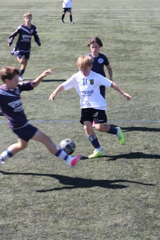 CJF CUP 2026