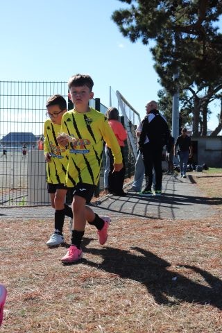 CJF CUP 2026