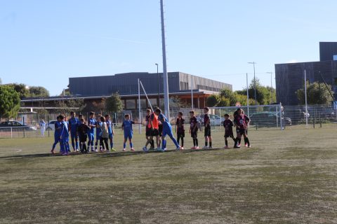 CJF CUP 2026