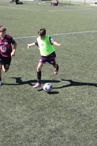 CJF CUP 2026