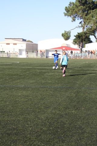 CJF CUP 2026