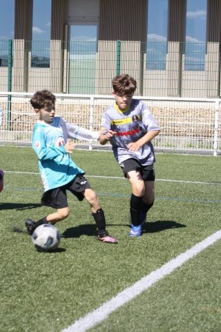 CJF CUP 2026