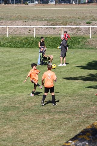 CJF CUP 2026