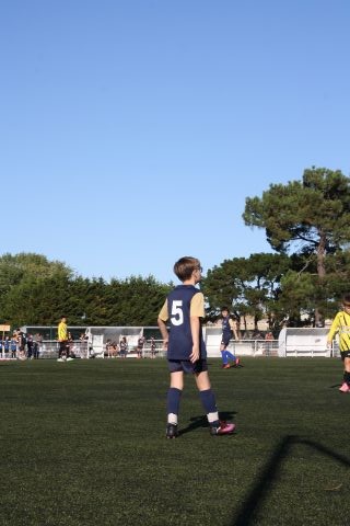 CJF CUP 2026