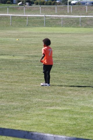 CJF CUP 2026