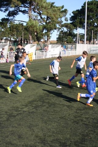 CJF CUP 2026