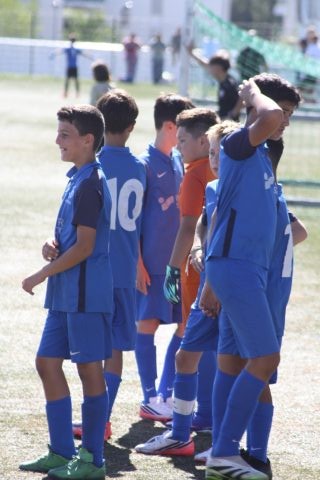 CJF CUP 2026