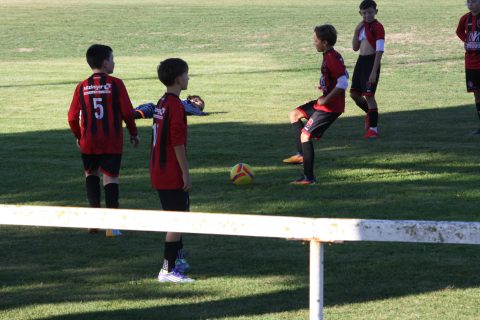 CJF CUP 2026