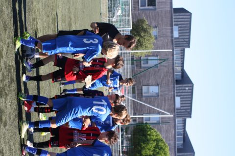 CJF CUP 2026