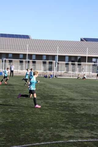 CJF CUP 2026