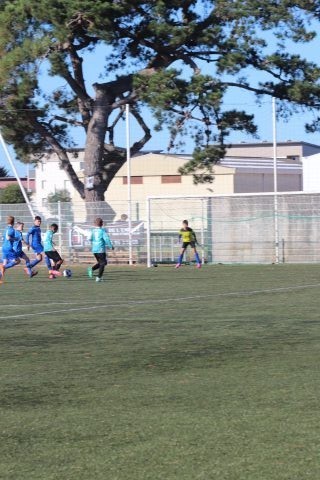 CJF CUP 2026