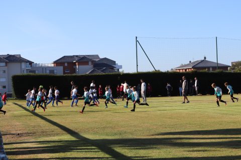 CJF CUP 2026