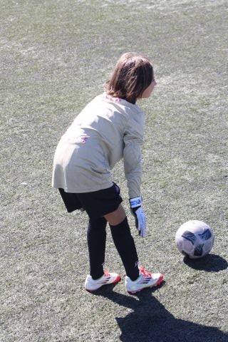 CJF CUP 2026