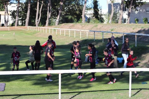 CJF CUP 2026