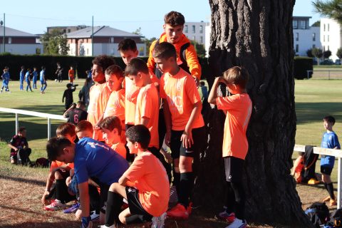 CJF CUP 2026