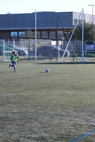 CJF CUP 2026