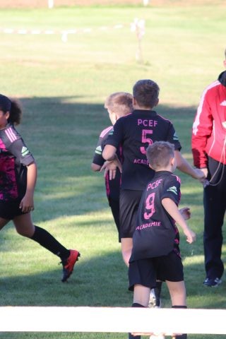 CJF CUP 2026