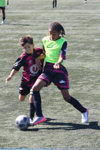 CJF CUP 2026