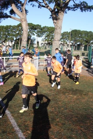 CJF CUP 2026