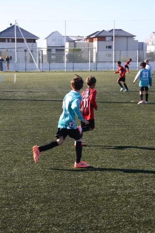 CJF CUP 2026