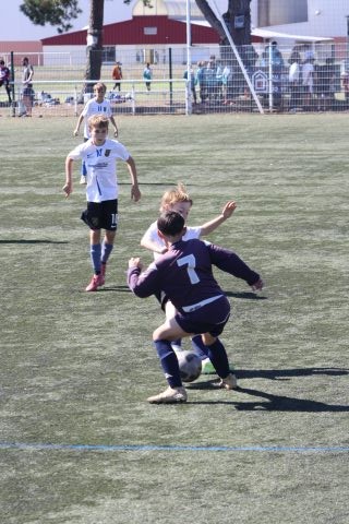 CJF CUP 2026