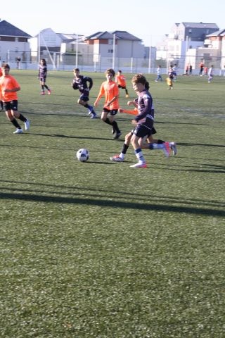 CJF CUP 2026