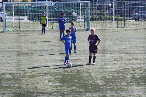 CJF CUP 2026
