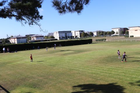 CJF CUP 2026