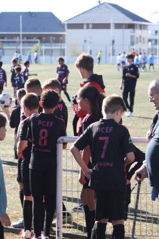 CJF CUP 2026