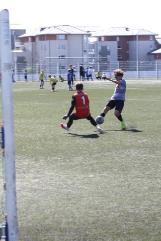 CJF CUP 2026