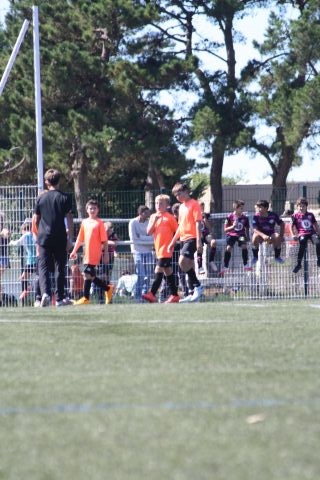 CJF CUP 2026