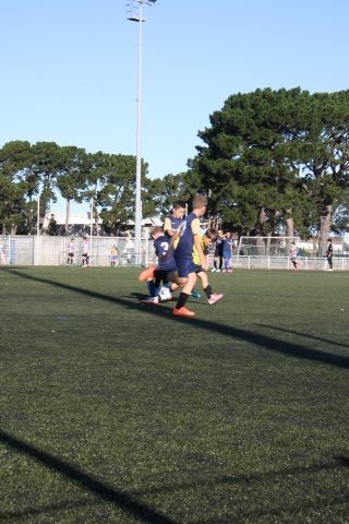 CJF CUP 2026